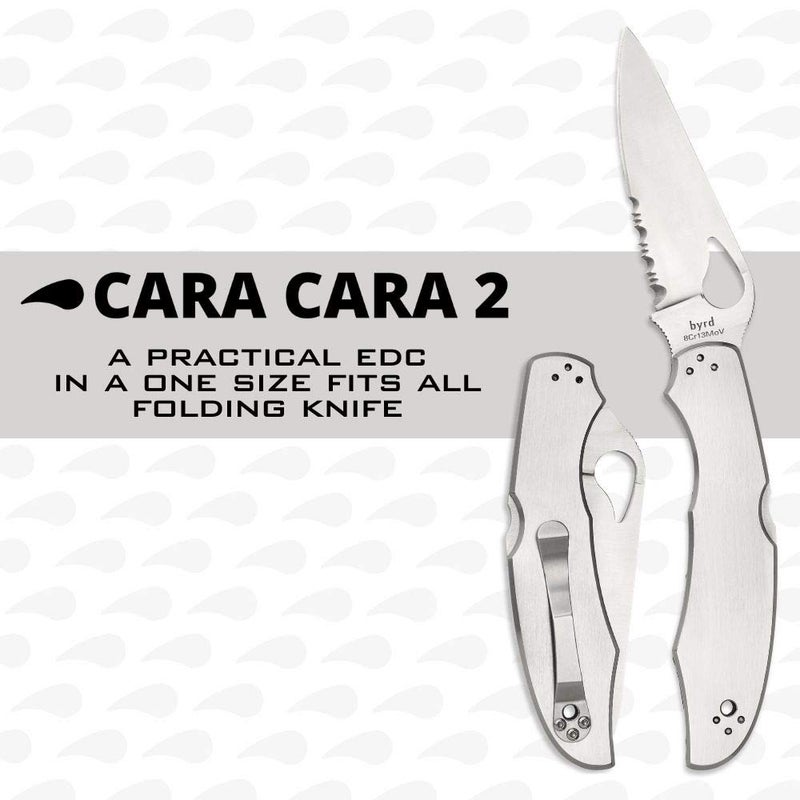 Spyderco سكين سبايدركو بيرد كاراكارا 2 بشفرة فولاذية بطول 3.75" ومقبض فولاذي مقاوم للصدأ - حافة مركبة - BY03PS2 - Image 2